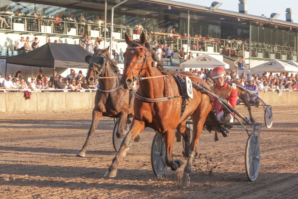 Two harness racing horses pull sulkies side by side on a dirt track, driver in red with number 3, as spectators watch in the stands as the race unfolds.