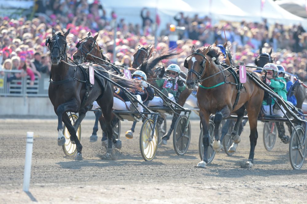 Elitloppet