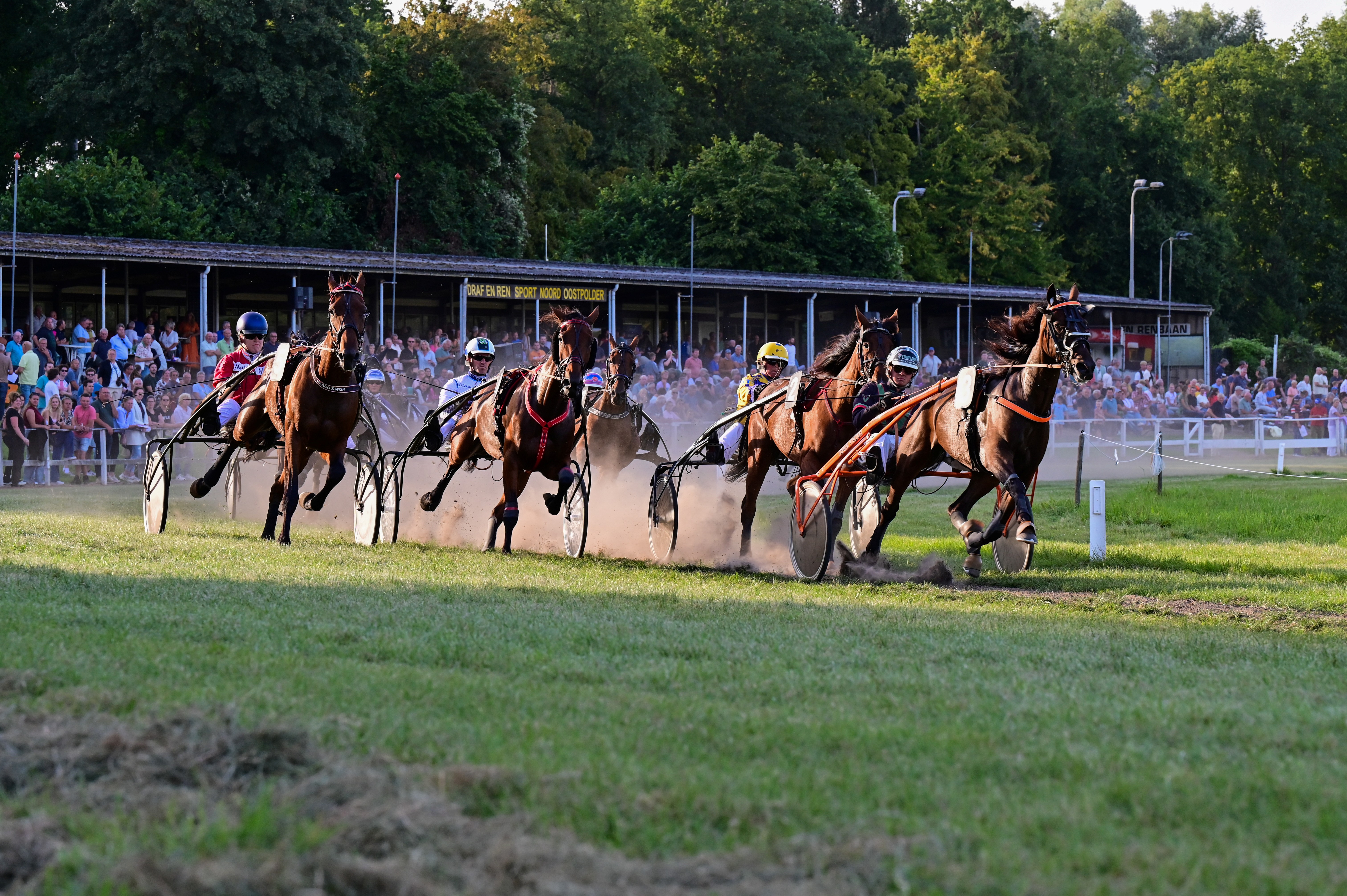 Harness race: multiple sulky carts racing across a track with drivers in helmets, dust flying, and a cheering crowd in the background.