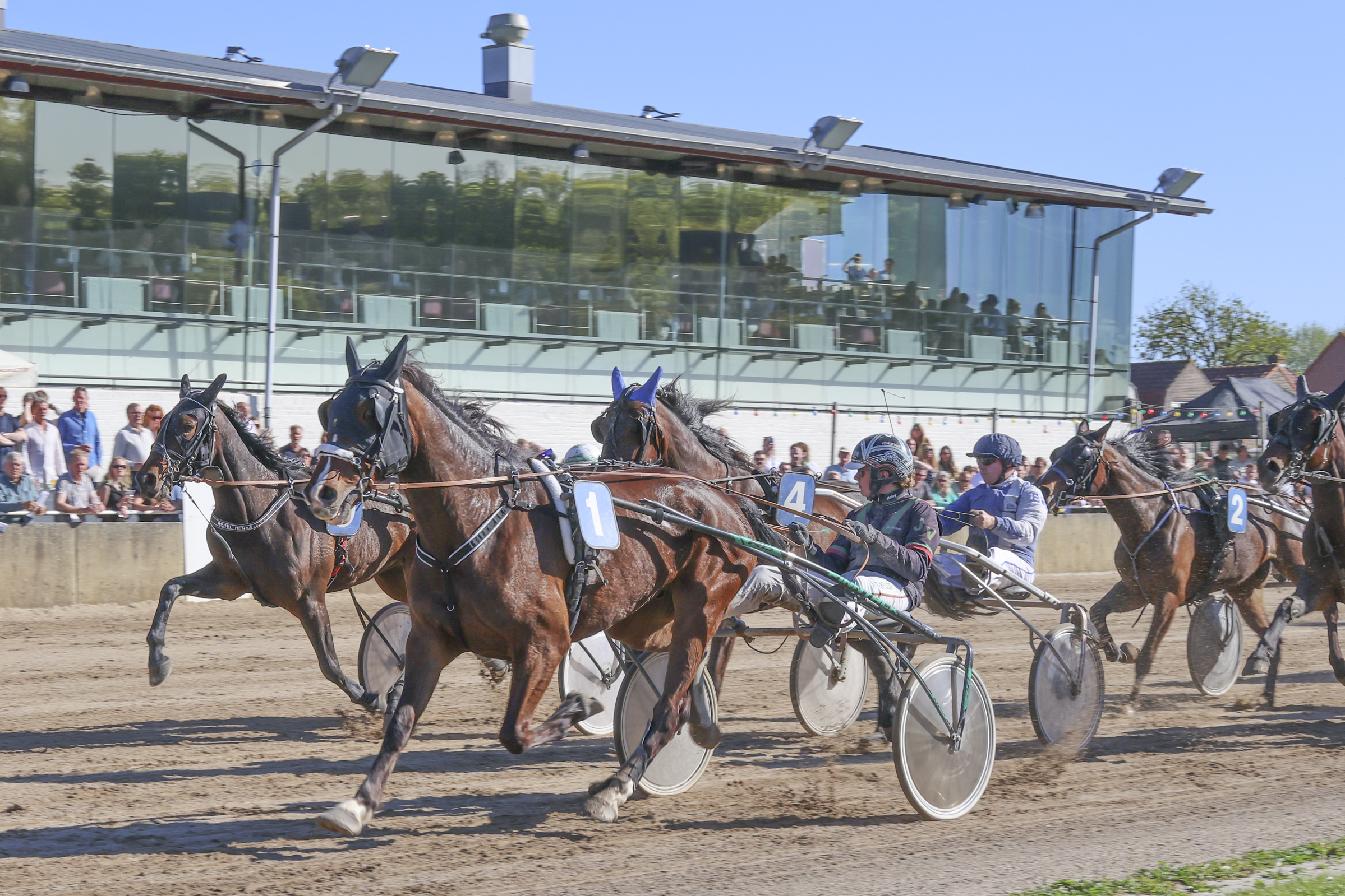 Horse trotting race with sulkies and drivers on a dirt track, spectators in the background and a glass-fronted grandstand behind them.